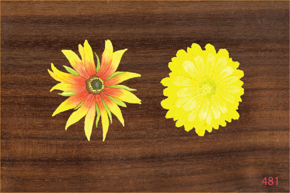 Download Hand  Painted  Watercolor Flower Design - Watercolor flower design Collection